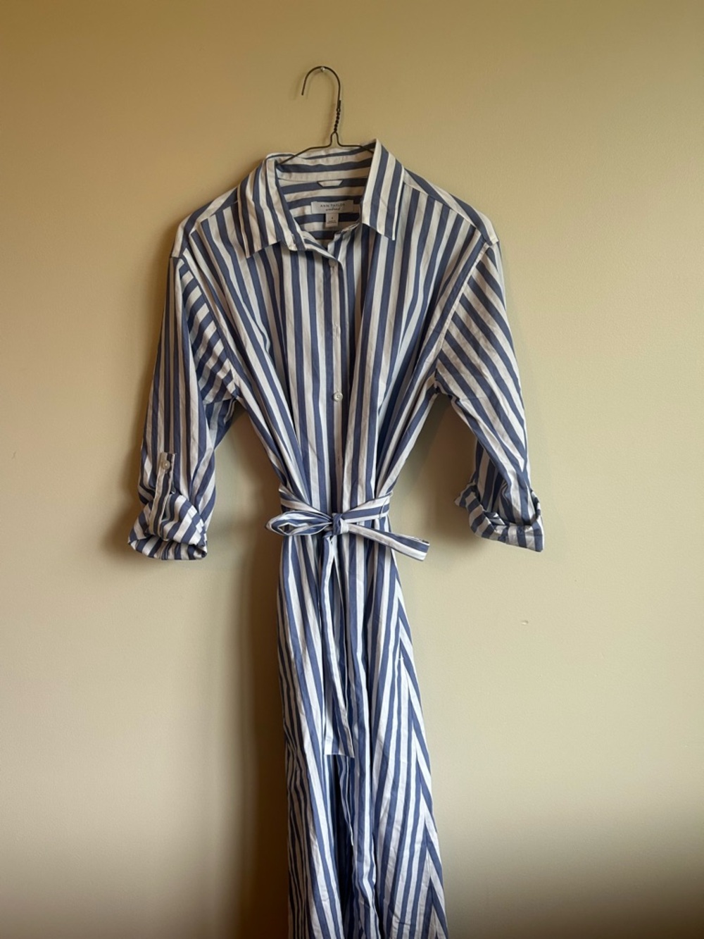 Ann Taylor Striped Button-Front Shirt Dress in Navy and White